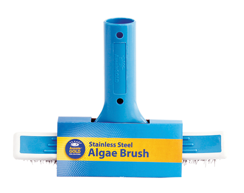 Algae Brush SS AG